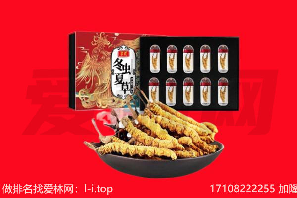 泗洪县回收虫草.jpg